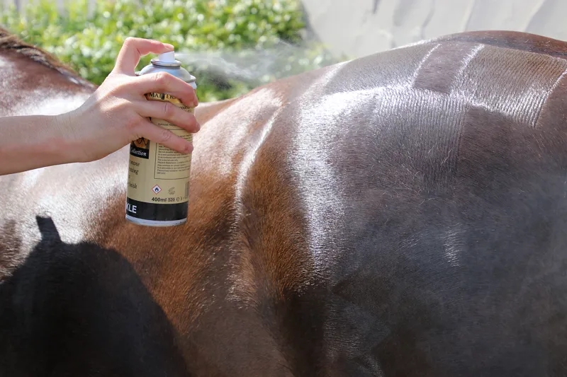 Supreme Products Sparkle - 400ml-1